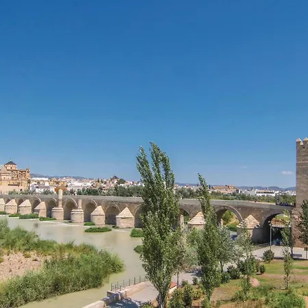 Lovely In With Wifi Apartment