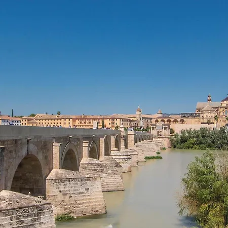 Apartment Lovely In With Wifi Cordoba